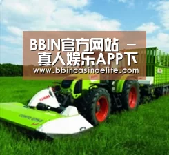 关于BBIN体育