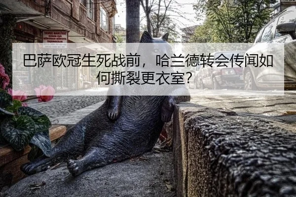 ba-sa-ou-guan-sheng-si-zhan-qian-ha-lan-de-zhuan-hui-chuan-wen-ru-he-si-lie-geng-yi-shi-3-497.jpg