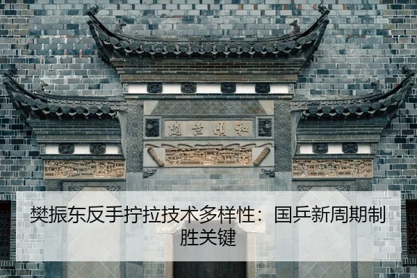 fan-zhen-dong-fan-shou-ning-la-ji-shu-duo-yang-xing-guo-ping-xin-zhou-qi-zhi-sheng-guan-jian-2-370.jpg