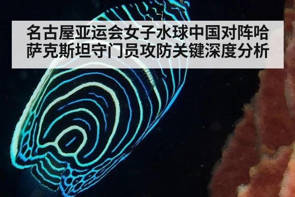 名古屋亚运会女子水球中国对阵哈萨克斯坦守门员攻防关键深度分析