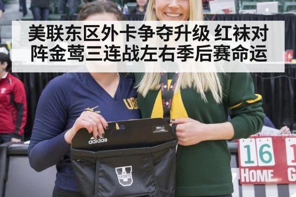 美联东区外卡争夺升级 红袜对阵金莺三连战左右季后赛命运
