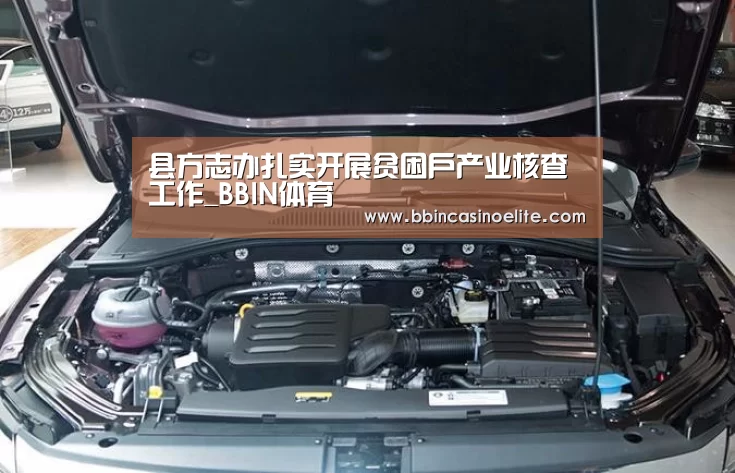 BBIN电子