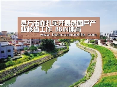 BBIN体育