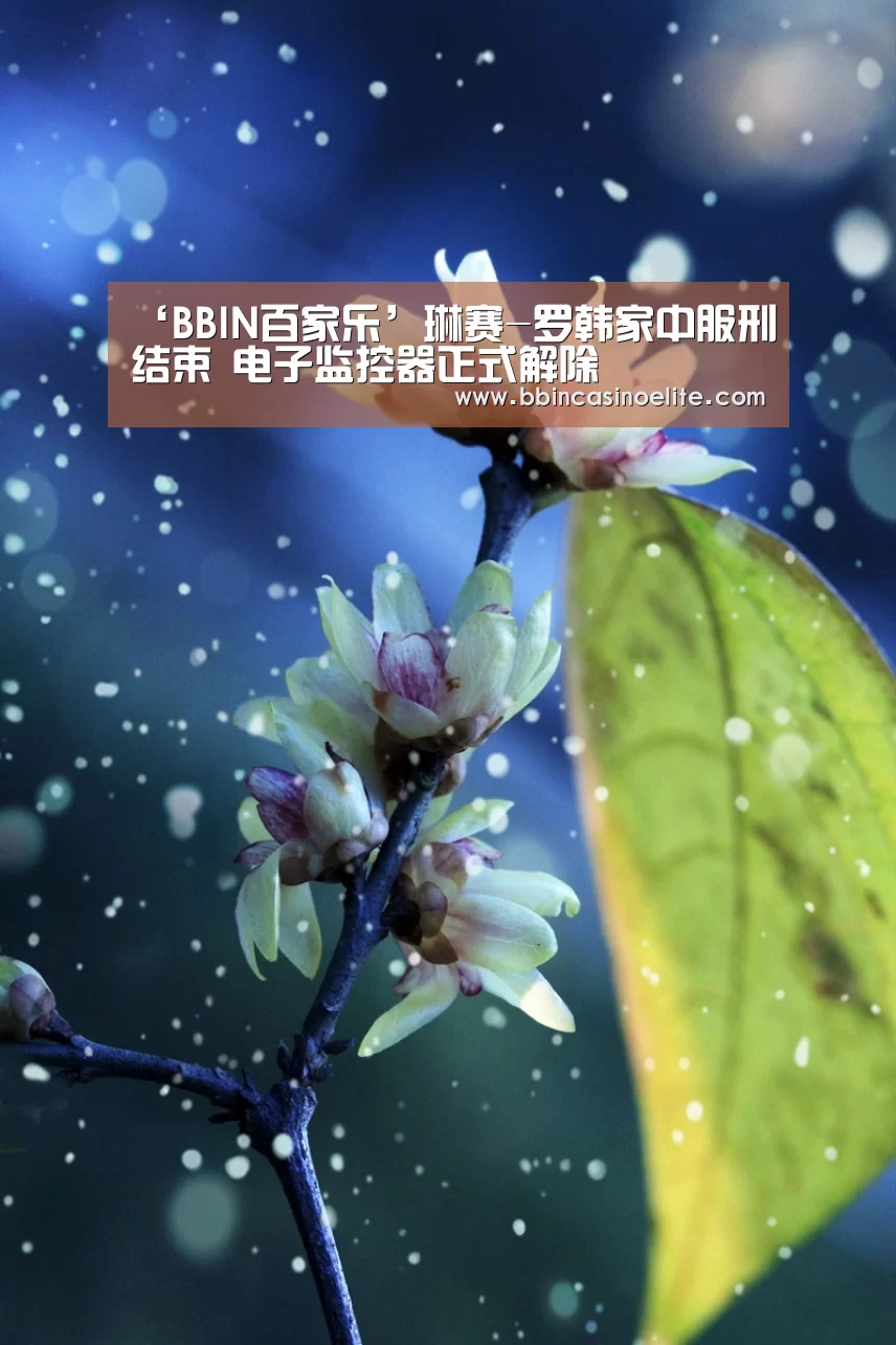 BBIN百家乐