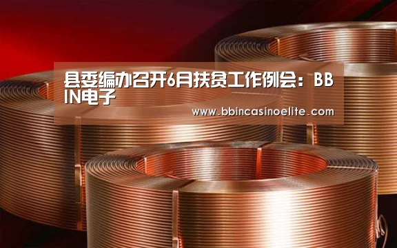 县委编办召开6月扶贫工作例会:BBIN电子(图2) BBIN电子