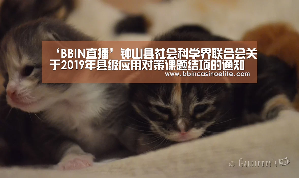 BBIN体育