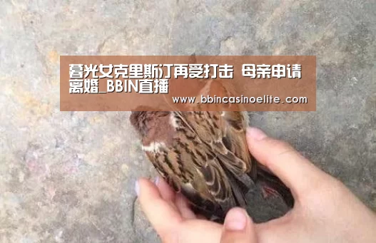 BBIN直播