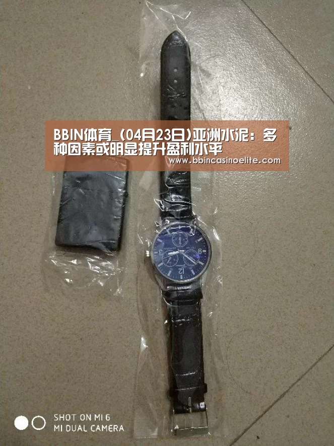 BBIN体育_(04月23日)亚洲水泥:多种因素或明显提升盈利水平(图1) BBIN电子